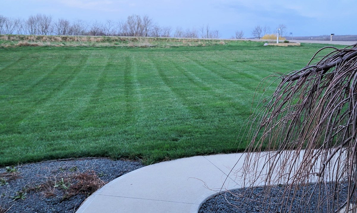 mowing showing lines in gras